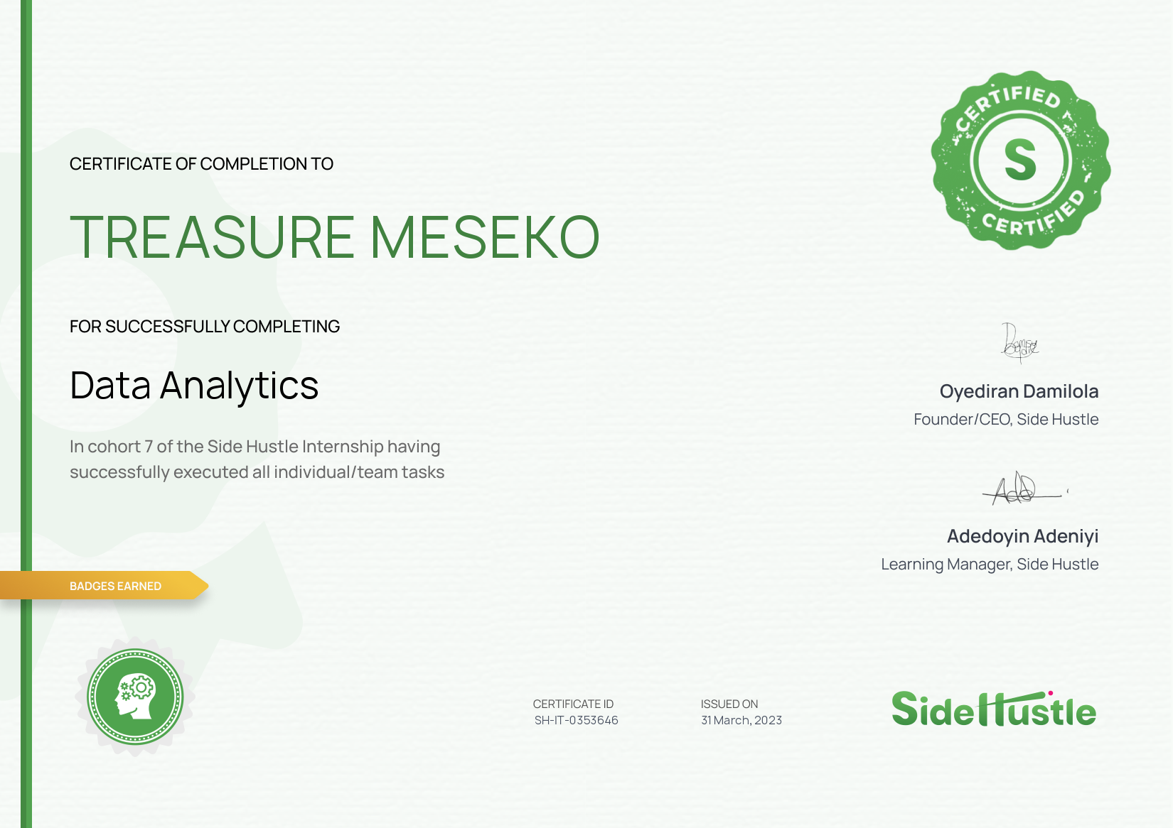 Terra Learning certificate