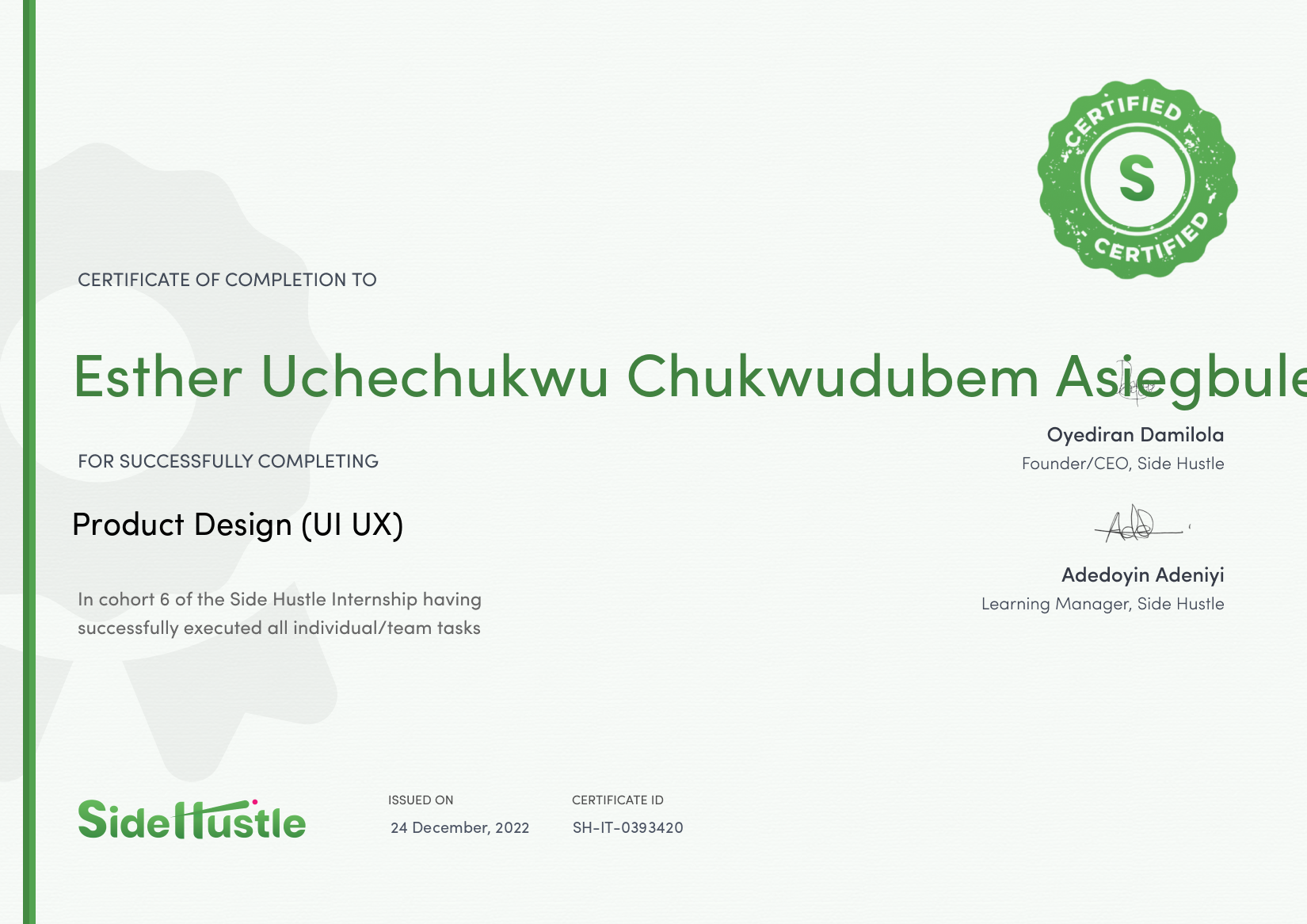 Terra Learning certificate